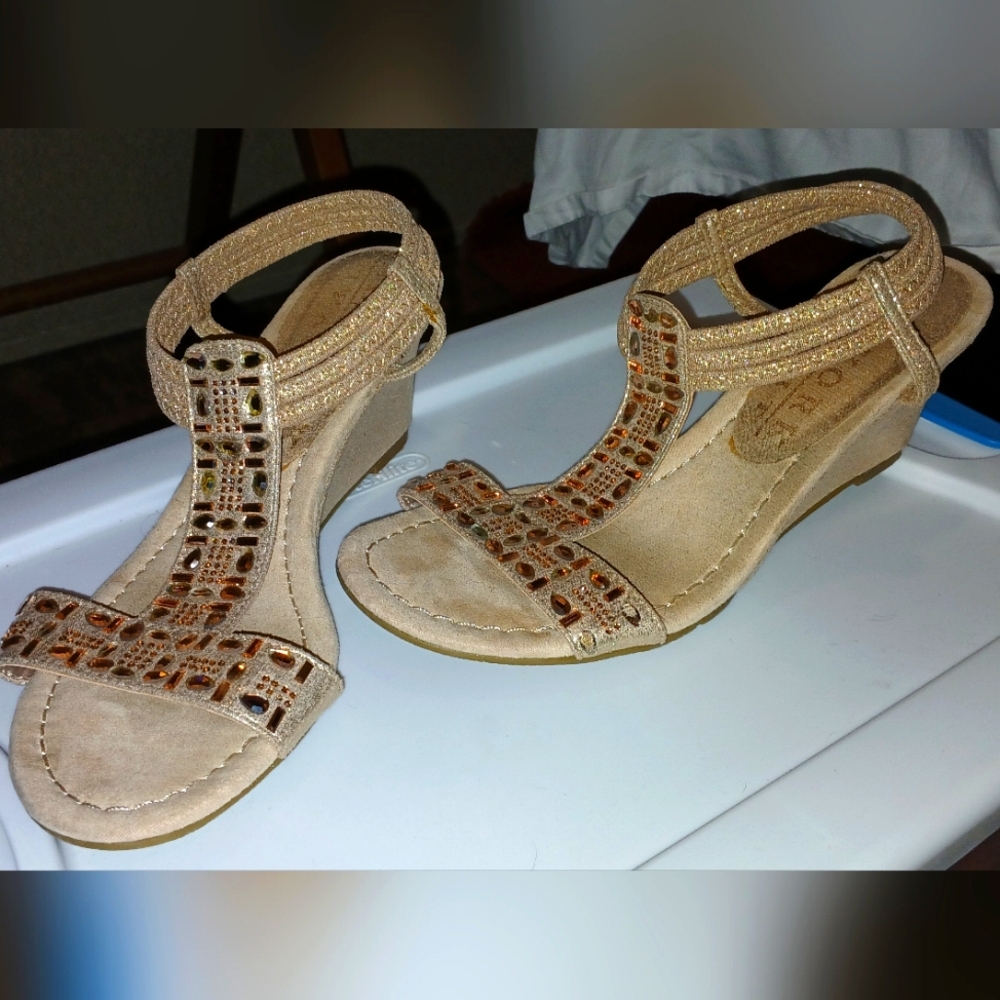 Elegant Rosegold Wedge Sandals